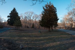 Molly’s Hill, 2016
