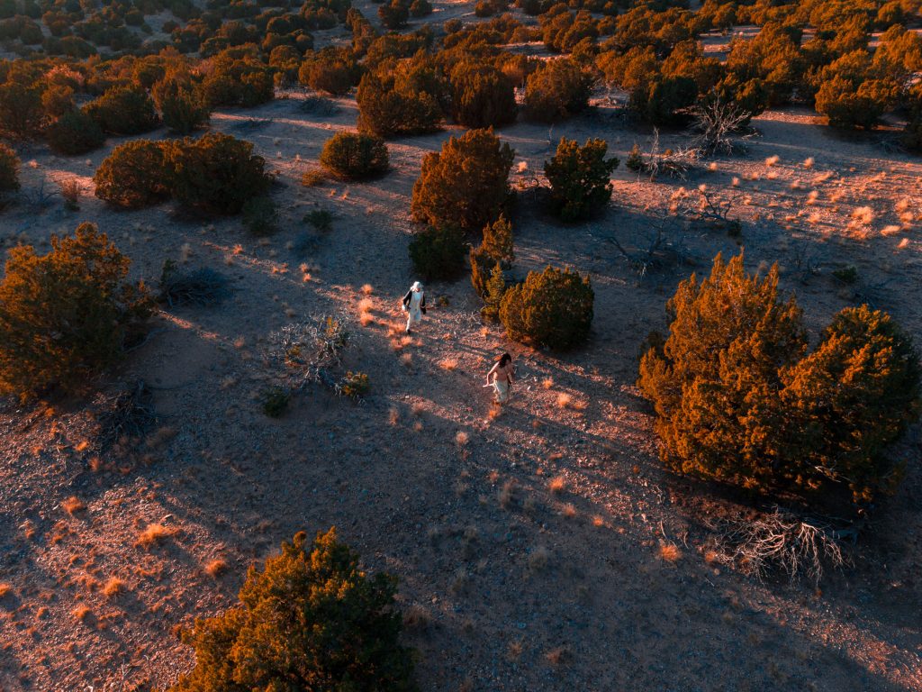 The First Declaration, 2026