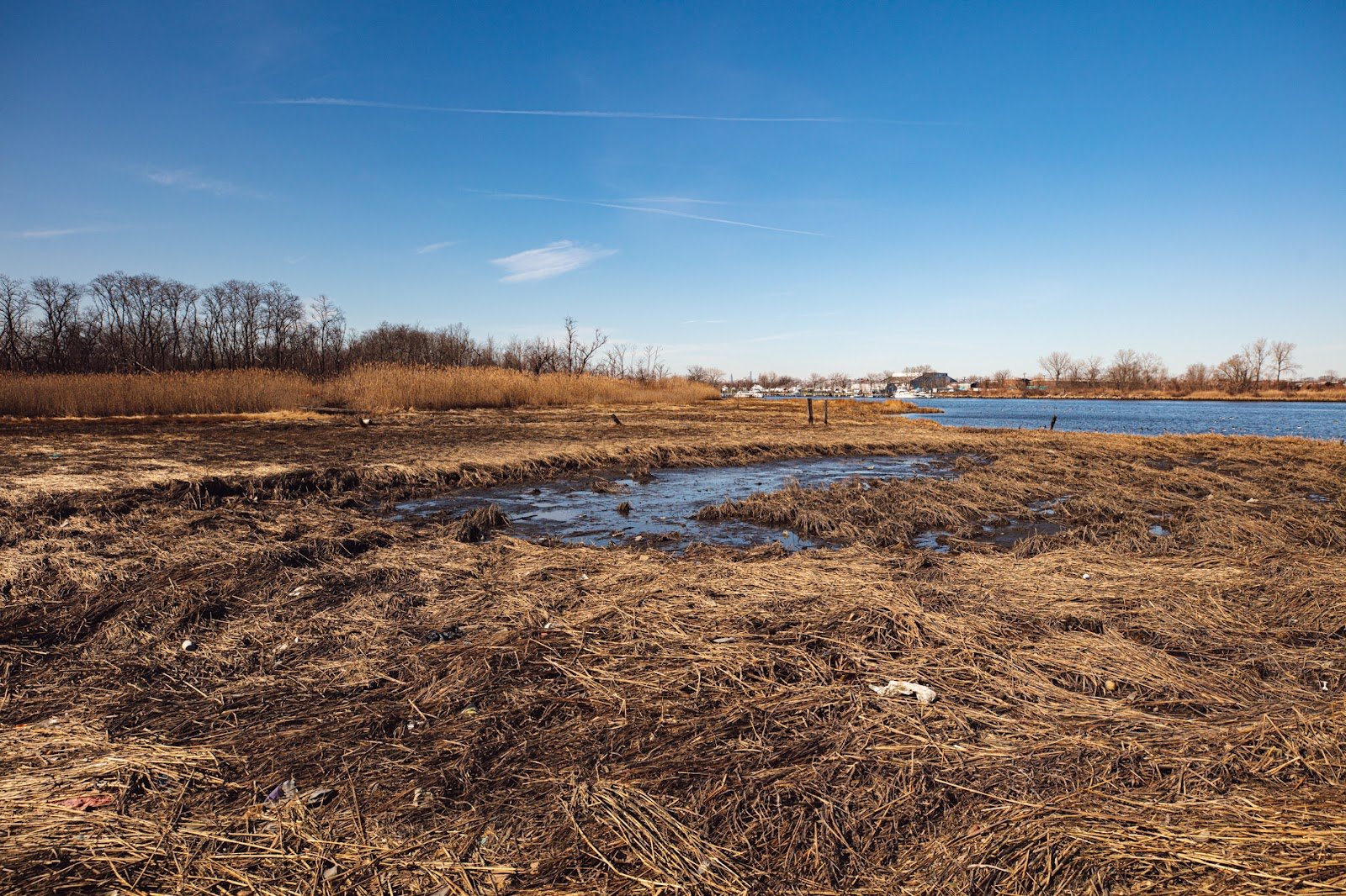 Guest Curator: “Land Liberty and the Pursuit of Happiness” at Old Stone House of Brooklyn